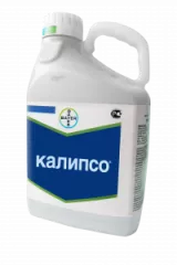 Калипсо