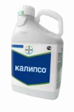 Калипсо