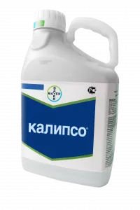 Калипсо
