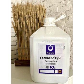 Гранберг Про, КЭ