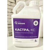 Кастра, КС