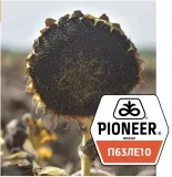 Pioneer П63ЛЕ10