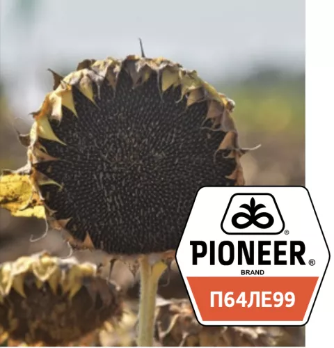 Pioneer П64ЛЕ99