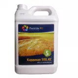 Кардинал 500, КС