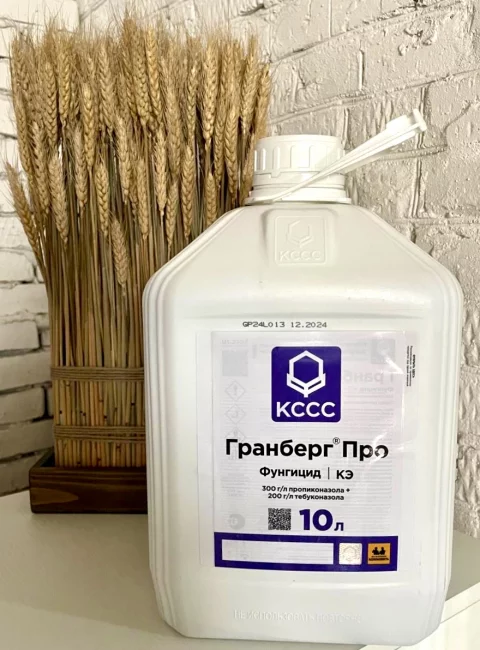 Гранберг Про, КЭ
