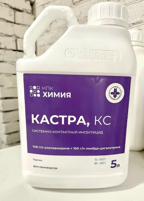 Кастра, КС