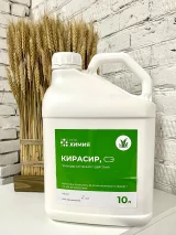 Кирасир, СЭ