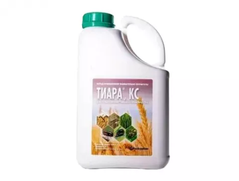 Тиара КС (бел.)